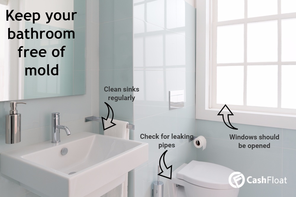 cashfloat helps you with mold