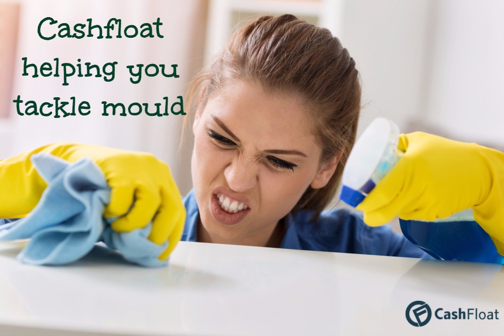 cashfloat helps you with mold removal