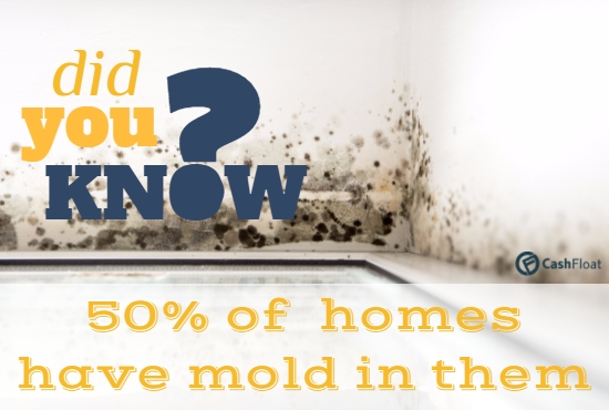 cashfloat helps you with mold