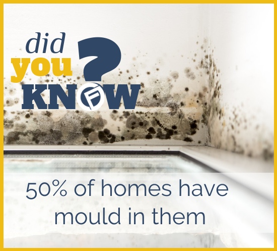Did you know? 50% of homes have mould in them - Cashfloat