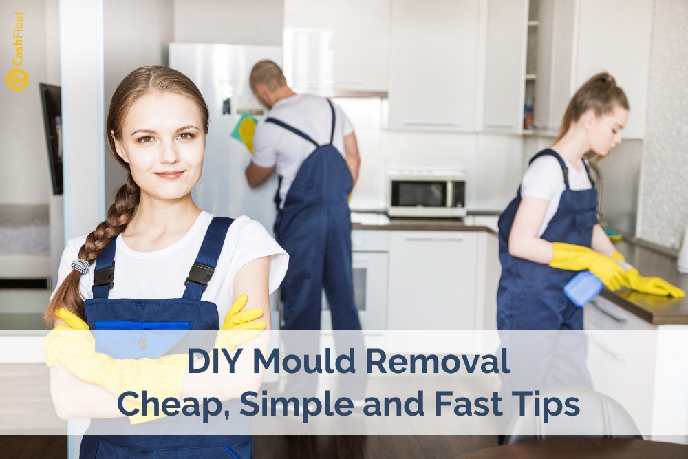 Mould removal tips from Cashfloat - Cheap and Easy