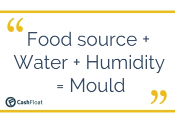 Food source + Water + Humidity = Mould - Cashfloat