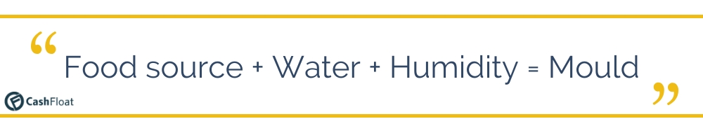 Food source + Water + Humidity = Mould - Cashfloat