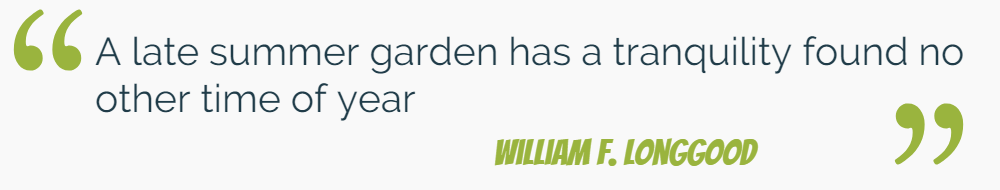 protect your garden to have a nice summer - cashfloat